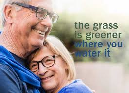 Rosedale by Teman in Cooranbong NSW