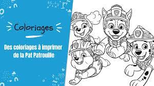 Coloriage Pat Patrouille : les dessins à imprimer gratuitement | Tête à  modeler
