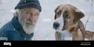 Appel DU FILM WILD 2020 20ème Century Studios avec Harrison Ford Photo  Stock