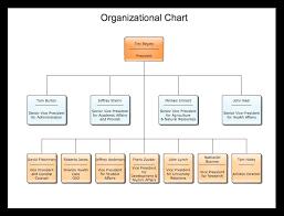 sample organizational charts our organizational chart