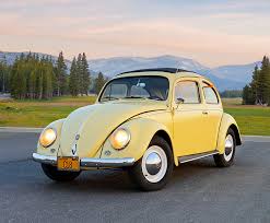Image result for Yellow 1950 Beetle
