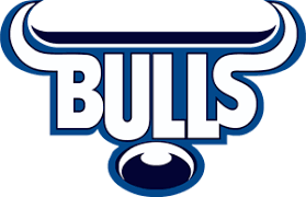However, what they don't know is that blue is a rare color for pit bull puppies and adult dogs. Blue Bulls Logo Download Logo Icon Png Svg