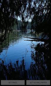 Check spelling or type a new query. Evening Lake Live Wallpaper For Android Apk Download