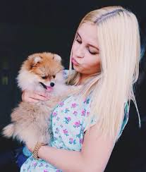Seit dagi bee ihren hund zula hat, gibt es natürlich nicht nur fans, die sich für sie freuen. Dagi Bee Das Susseste Wesen Der Welt Facebook