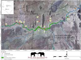 Image result for Lippia somalensis