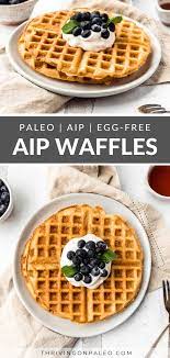 Crispy Aip Waffles Paleo Nut Free Thriving On Paleo Paleo Aip Recipes Recipe Aip Desserts Aip Recipes Aip Recipes Breakfast