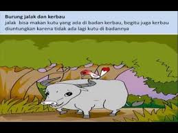 Cara Memahami Simbiosis Dan Rantai Makanan Youtube Download 100 Gambar Jalak Burung Gratis Pixabay Download 800 Gambar Cerita Gajah K Di 2020 Kartun Jalak Gambar