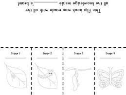 And this is the younger. Life Cycle Of A Butterfly Mini Unit With Two Flip Books Life Cycles Special Education Science Flip Book