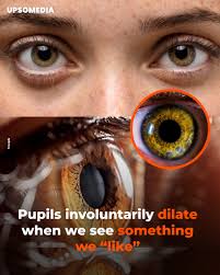 Our pupils don't lie. When something attracts us or even makes us curious,  they dilate automatically. It is a reflex controlled by the autonomic  nervous system, the same one that regulates functions