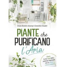 È meno efficace della dracena nel togliere dall'aria. Come Combattere L Inquinamento Domestico E Atmosferico Non Sprecare