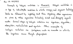 Which Of The Following Is An Example Of Holozoic Nutrition