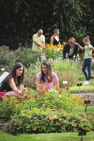 Maar bekijk hieronder vergelijkbare tickets en andere geweldige locaties. Plantentuin Meise