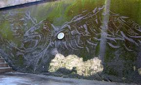 Check spelling or type a new query. Tutoriel Comment Faire De L Eco Street Art Du Graffiti Vegetal Avec De La Mousse Slave 2 0