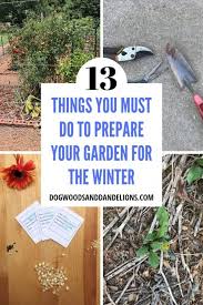 The practice works best for ferns with thicker. Ways To Prepare The Garden For Winter Dogwoods Dandelions
