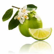 We did not find results for: Vitalshop Lemon Tree Home Facebook