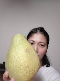 麥味登柚來了🍐支持台灣在地小農長達近20年每年中秋都能在部分門市購買到#花蓮鶴岡文旦🍐 今年加碼振興花蓮旅遊抽#