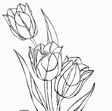 Hus, dst, vp3, to3, pes. Disegni Da Colorare Tema Fiori