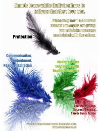 Angel Feather Oracle Companion Book Angel Shop A O K Angels Angel Feathers Feather Meaning Feather Color Meaning