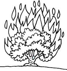 Image Result For Bush Coloring Page Sunday School Coloring Pages Burning Bush Sunday School Crafts