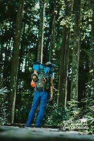 Saat Ini Dunia Sedang Mengalami Pemanasan Global Dan Perubahan Iklim Yang Terkadang Sulit Diprediksi Di Sinilah Hutan Hujan Pemanasan Global Perubahan Iklim