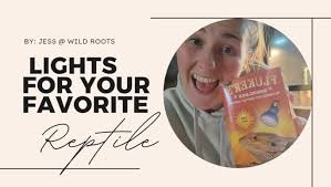 Amazon.com: Fluker's 白熾燈聚光燈適用於爬行動物罐爬蟲類熱燈泡適用於紅外線燈100 瓦: 其他產品