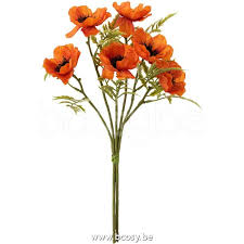 Le bouquet de coquelicots,symbole de rêves,signifie ardeur fragile. J Line Bouquet Coquelicot Plastique Orange Jline 12421 By Jolipa 12421 Span Style Font Size 6pt Bouquets De Fleurs Span Bouquet Bcosy Fr Le Plus Grand Boutique Webshop Officielle J Line Vente En Ligne Jline Bij