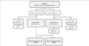 flow chart of the protocol for induction of labor in