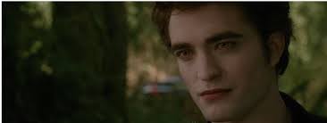 Twilight fan-fiction saga for fans to love