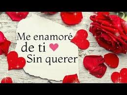Esto Es Lo Que Siento Por Ti Mi Amor Te Amo Video Para Dedicar A La Persona Que Amas Youtu Poemas Para Mi Novio Frases De Amor Para Alguien