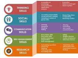 This Image Shows The Transdisciplinary Skills That One May