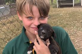 Would-be bird egg smuggler fined