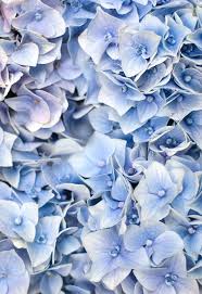 Pin On Blaue Zeiten