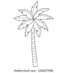 Palm tree coloring pages with clouds and seashell. Stock Photo And Image Portfolio By Ola Studio Shutterstock