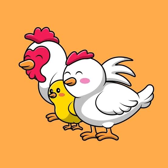 Gia đình nhà gà vui vẻ