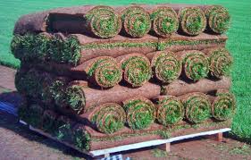 Maybe you would like to learn more about one of these? Pin On Backyard