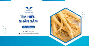 Nhân Sâm Tính Hàn Hay Tính Nhiệt? Ai Nên Dùng, Nên Tránh? – BIDIPHAR