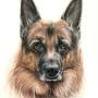 Profile Picture of LOCAL COLOR: Janet Schuler is a Pet's Best Friend (@buckscountyherald.com) on Google