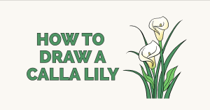 In this video i used: How To Draw Flowers And Trees Easy Drawing Guides