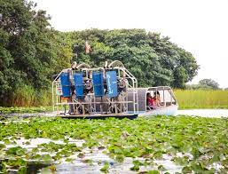 My everglades national park guide will take you through all the unique ecosystems of the everglades. The Ultimate Guide To Visiting Everglades National Park