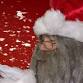 Farmer Christmas at Broadditch Farm event image