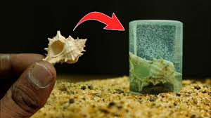 The shell of the conch will grow thicker the longer the conch lives. Diy Wonderful Conch Shell In Resin Epoxy Resin Resin Diy Youtube