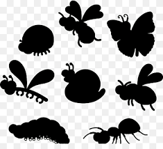 Among these were the spu. Trivia Png Images Pngwing