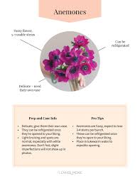 Wedding bouquets can survive the heat by keeping them in a cool room until right before the ceremony, or by spraying them with a liquid floral food that lock. Diy Wedding Flower Care Fresh Flowers For Weddings Online Wedding Flowers Fresh Wedding Flowers Diy Wedding Flowers