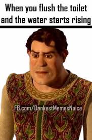 Dopl3r Com Memes When You Flush The Toilet And The Water Starts Rising Fb Com Dankestmemesnoice