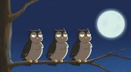 Image of Owl hooting GIF