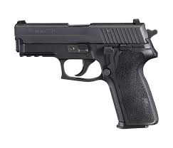 Berikut ini gaji pokok pns golongan i pasca kenaikan gaji pns tahun 2015 sesuai pp no. P229 Nitron Compact Sig Sauer