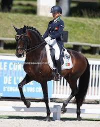 The equestrian events at the 2020 summer olympics in tokyo will feature three disciplines for both individual and team competitions. Portuguese Team Selected For 2021 Olympic Games