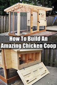 Wie Man Einen Erstaunlichen Huhnerstall Baut Einen Erstaunlichen Huhnerstall If You Are Planning In 2020 Huhnerstall Bauen Hinterhofhuhner Chicken Coop Designs