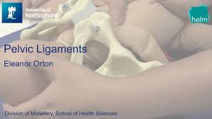 Laparoscopic understanding of pelvic anatomy and its application in benign and radical pelvic surgery. Pelvic Ligaments Youtube