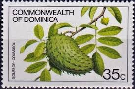 We did not find results for: Stamp Soursop Dominica Flowers And Fruits Mi Dm 739i Sn Dm 725 Sg Dm 773a